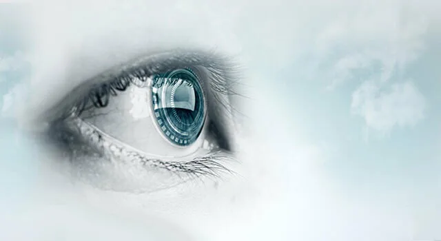 eyes windows to health.jpg