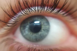 Close-up of human eye with long lashes and clear blue iris